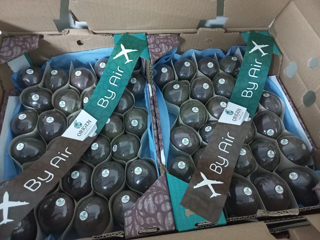 WhatsApp Image 2026-03-04 at 11.40.07 AM.webp