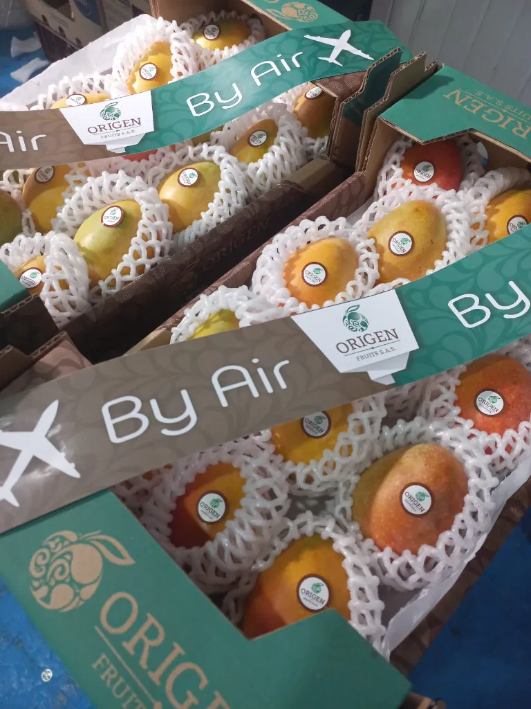 WhatsApp Image 2026-03-04 at 11.46.50 AM.webp