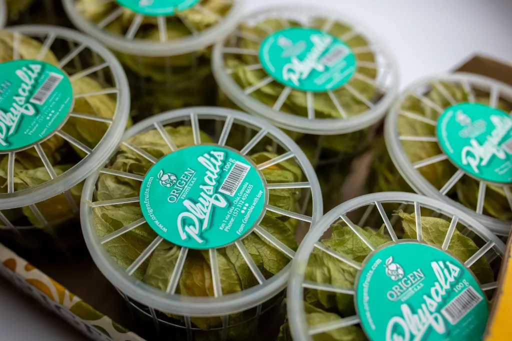 WhatsApp Image 2026-03-04 at 11.26.05 AM (1).webp