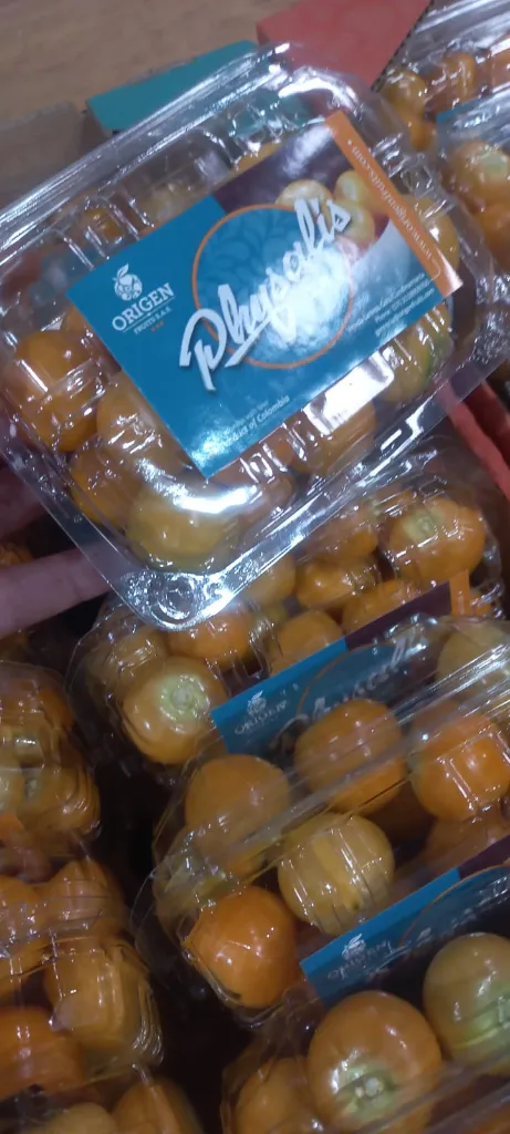 WhatsApp Image 2026-03-04 at 11.27.43 AM (1).webp