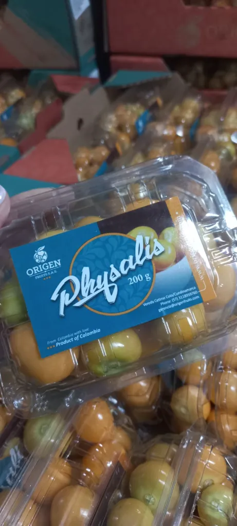 WhatsApp Image 2026-03-04 at 11.27.43 AM.webp