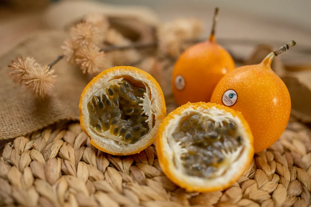 WhatsApp Image 2026-03-04 at 11.28.08 AM (1).webp