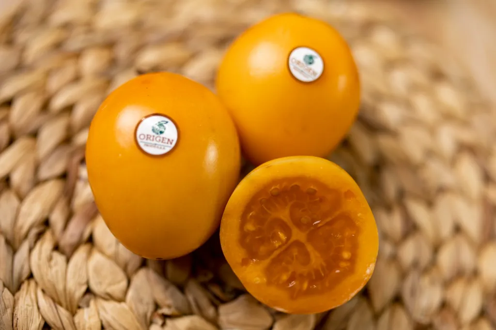 WhatsApp Image 2026-03-04 at 11.28.49 AM.webp