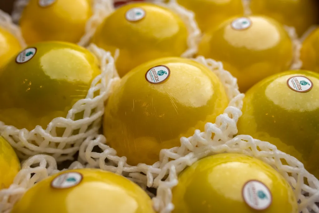 WhatsApp Image 2026-03-04 at 11.30.04 AM (1).webp