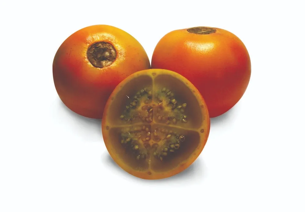 WhatsApp Image 2026-03-04 at 11.34.47 AM.webp