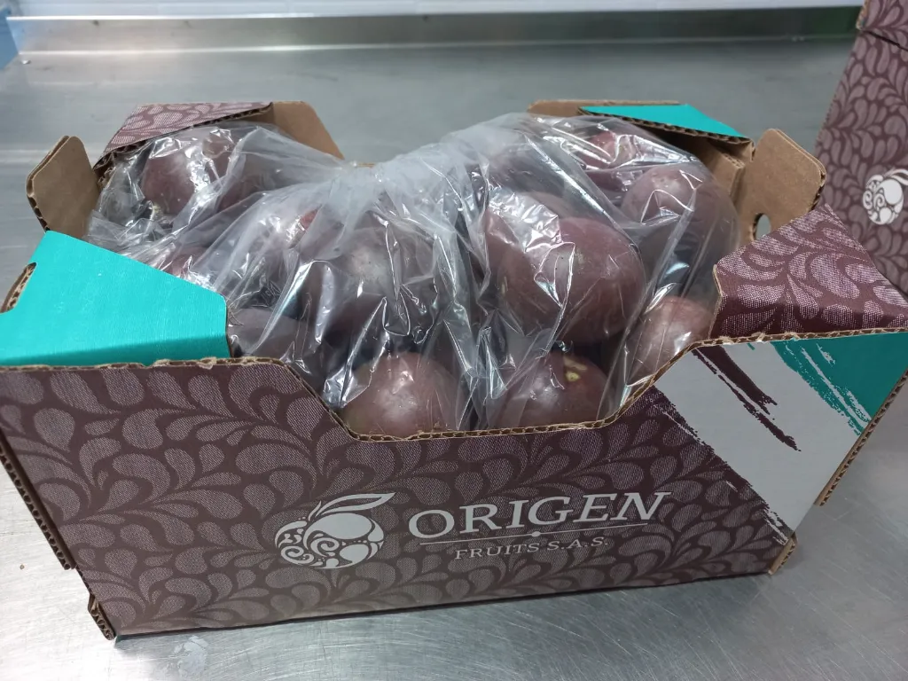 WhatsApp Image 2026-03-04 at 11.40.06 AM.webp