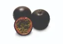 Passion Fruit