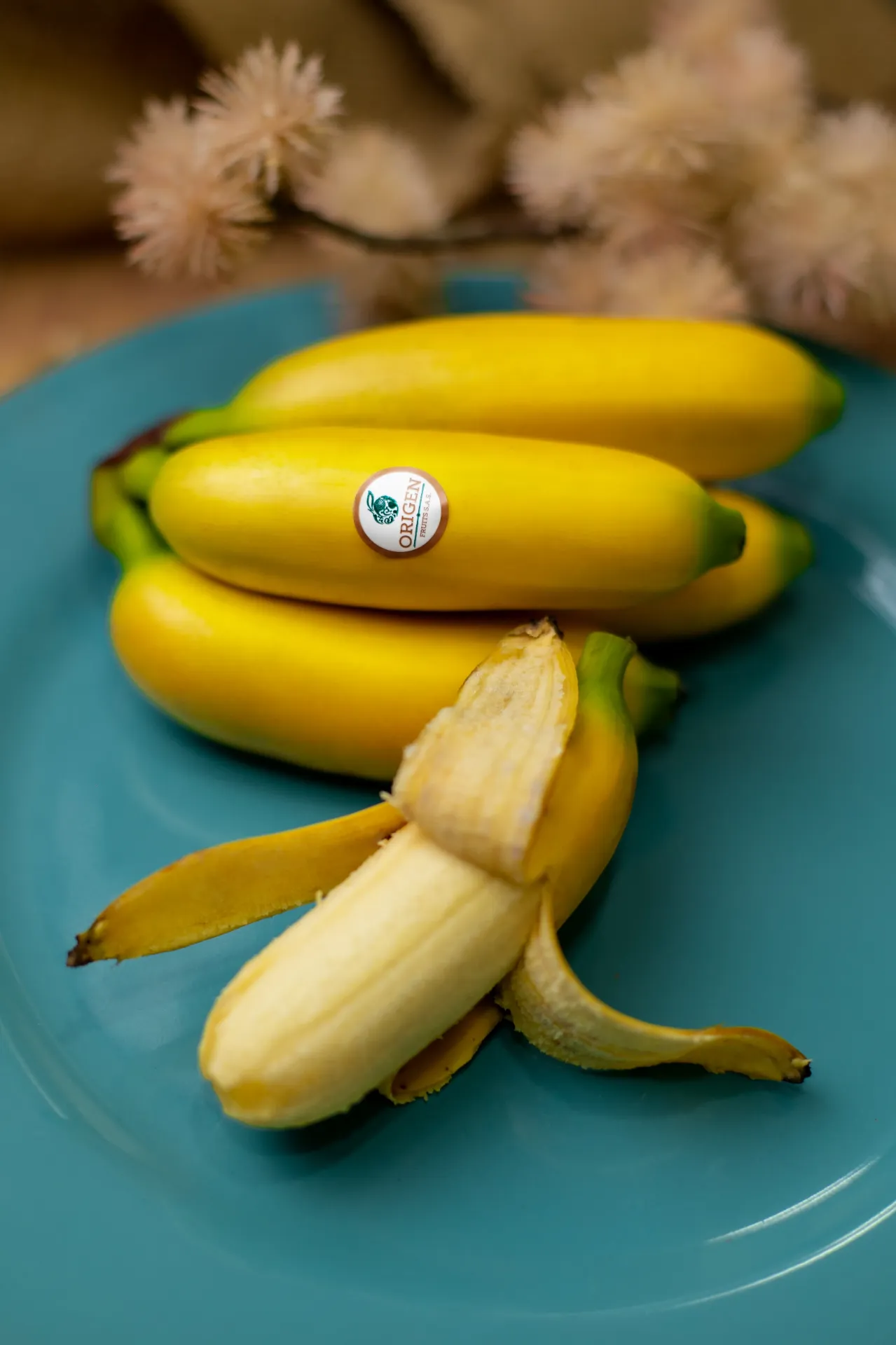 Baby Banana / Little Bananas