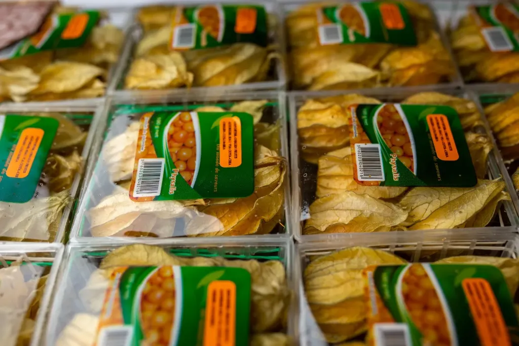 Physalis / cape gooseberry